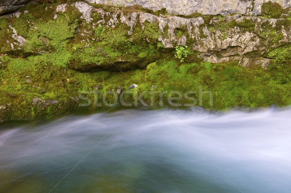 mountain river Stock photo © pedrosala