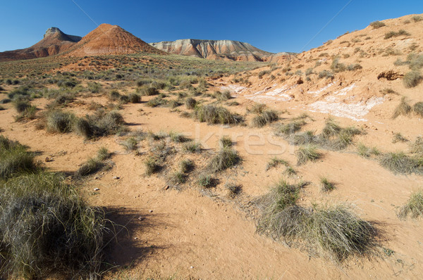 Stock photo: Arid landscape