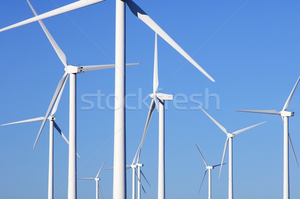 Wind energie groep blauwe hemel hemel technologie Stockfoto © pedrosala