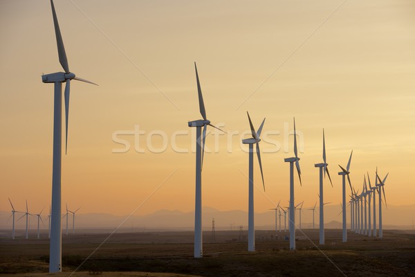 Wind energy Stock photo © pedrosala