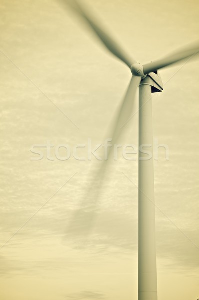 wind energy Stock photo © pedrosala