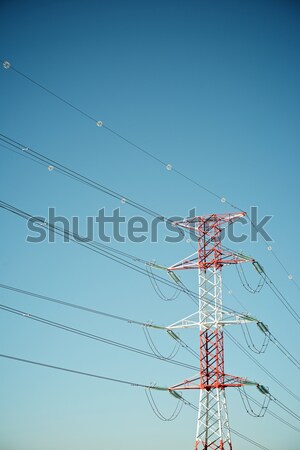 Wooden pylon Stock photo © pedrosala