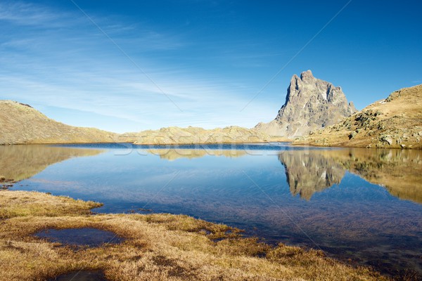 Pyrenees Stock photo © pedrosala