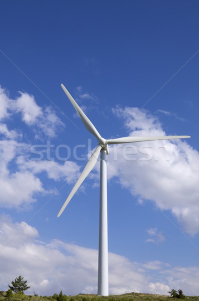 wind energy Stock photo © pedrosala