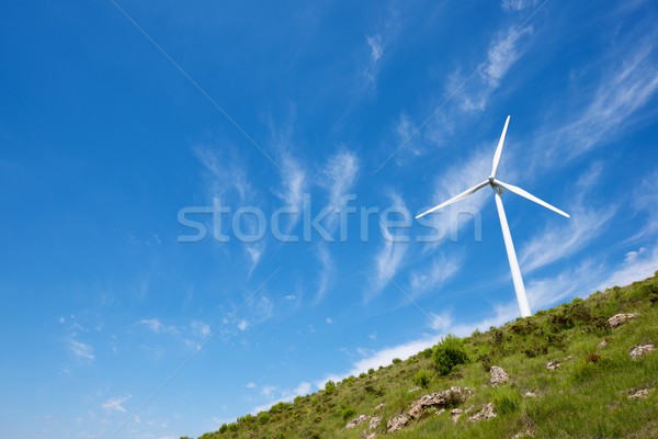 Wind energy Stock photo © pedrosala