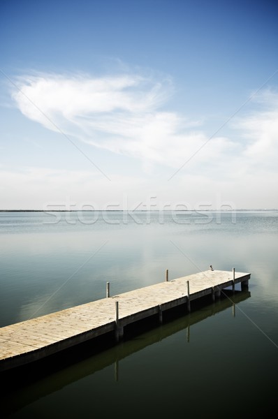 Albufera Lake Stock photo © pedrosala