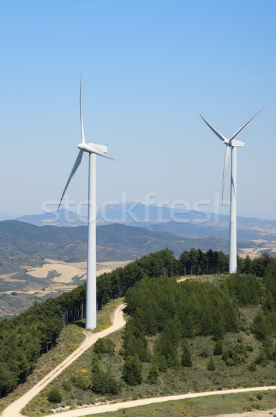 wind turbines Stock photo © pedrosala