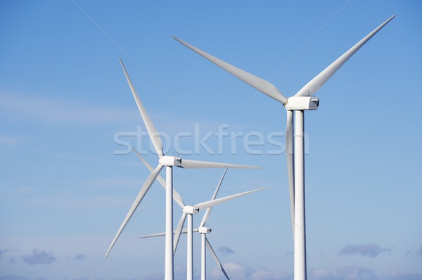 Wind energy Stock photo © pedrosala