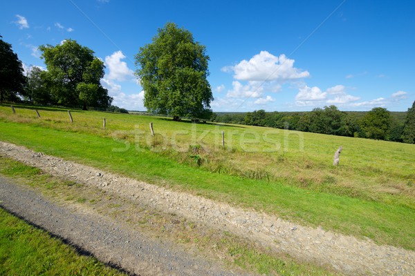 Normandy Stock photo © pedrosala