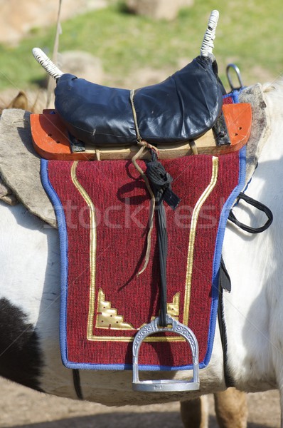 Mongolian seddle Stock photo © pedrosala