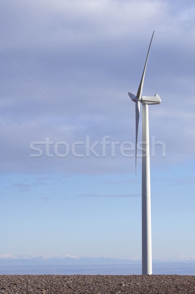 windmill Stock photo © pedrosala