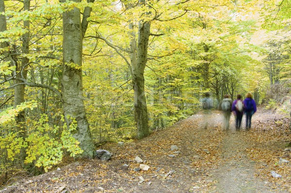 Hiking Stock photo © pedrosala