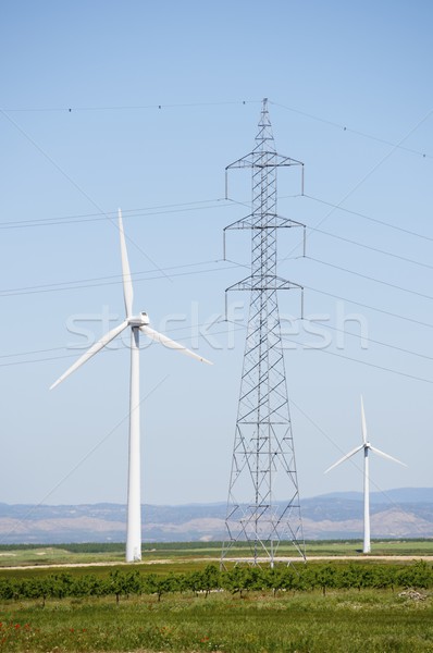 Vento energia moinho de vento produção fazenda industrial Foto stock © pedrosala