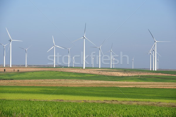 Vento energia elétrico poder produção fazenda Foto stock © pedrosala