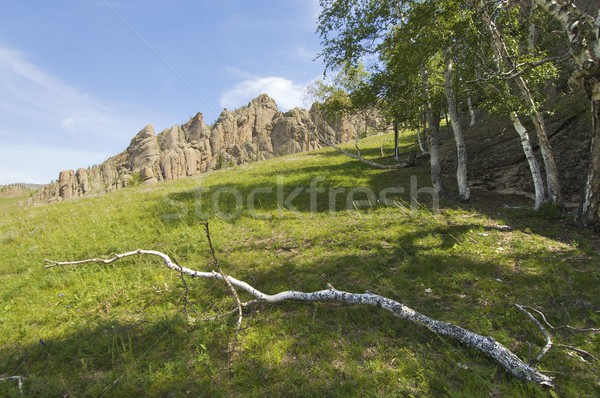 mongolian landscape Stock photo © pedrosala