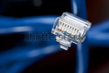 Ethernet azul cabo computador branco rede Foto stock © pedrosala