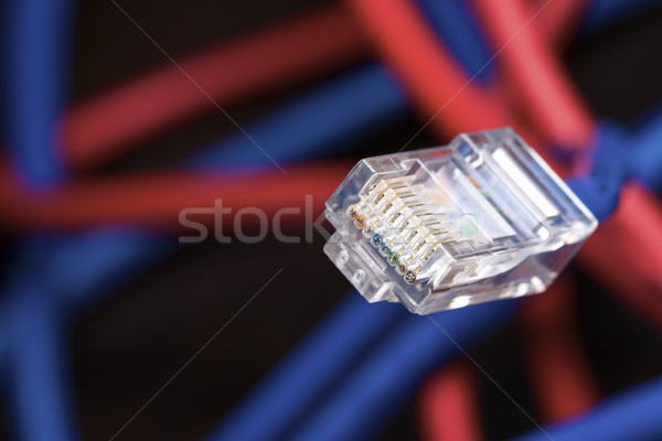 Ethernet albastru cablu calculator colorat reţea Imagine de stoc © pedrosala
