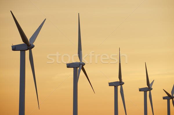 Rüzgâr enerji elektrik güç üretim gün batımı Stok fotoğraf © pedrosala