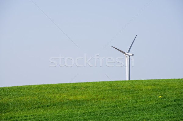 Szél energia szélmalom elektromos erő gyártás Stock fotó © pedrosala