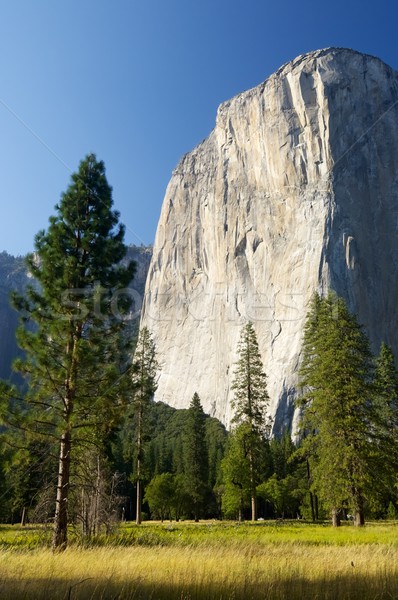 El Capitan Stock photo © pedrosala