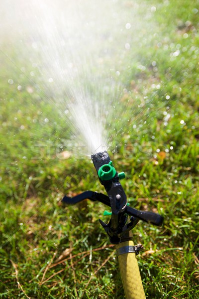 Sprinkler Bewässerung Garten Frühling Landschaft Stock foto © pedrosala