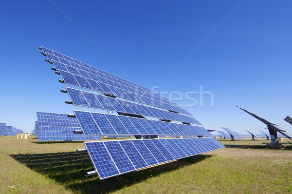 Fotovoltaice panou solar câmp Blue Sky Imagine de stoc © pedrosala