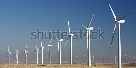 wind energy Stock photo © pedrosala