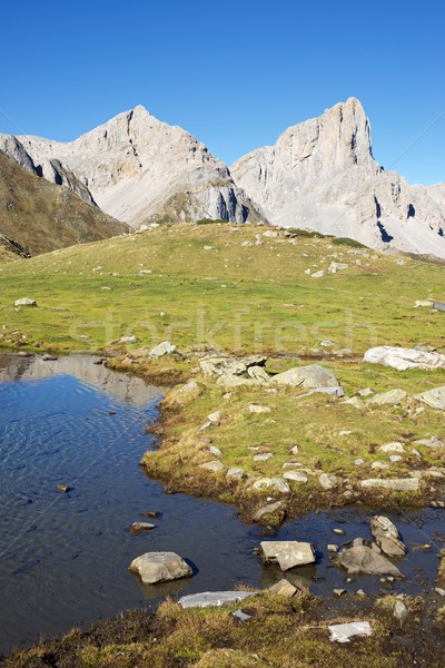 Pyrenees Stock photo © pedrosala