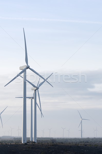 Eletricidade produção nublado céu natureza paisagem Foto stock © pedrosala