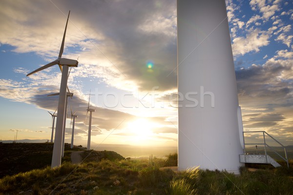 ветер энергии мнение электрических власти производства Сток-фото © pedrosala