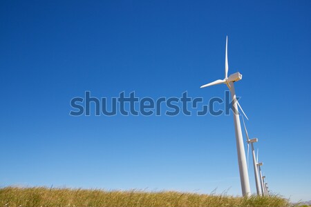 wind energy Stock photo © pedrosala