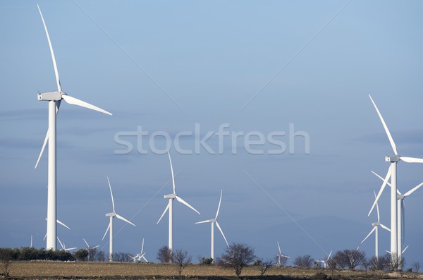 ветер энергии группа возобновляемый электрических производства Сток-фото © pedrosala