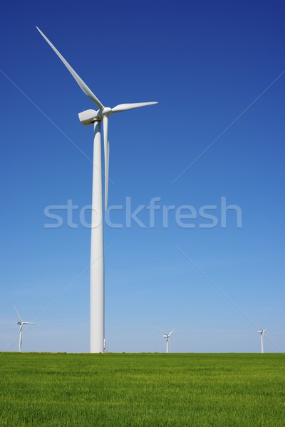 Viento energía eléctrica poder producción hierba Foto stock © pedrosala