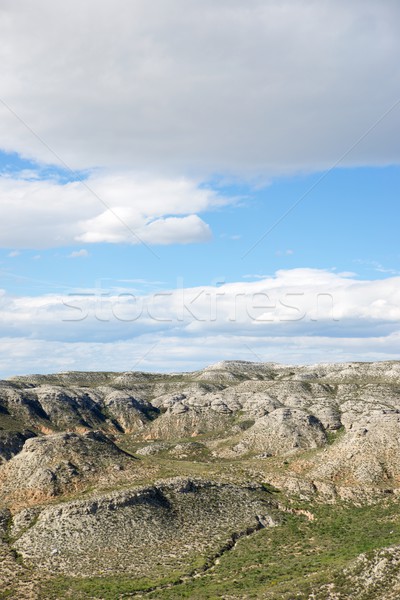 Arid landscape Stock photo © pedrosala