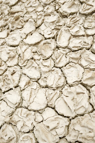 Foto stock: Sequía · tierra · alto · tierra · muertos