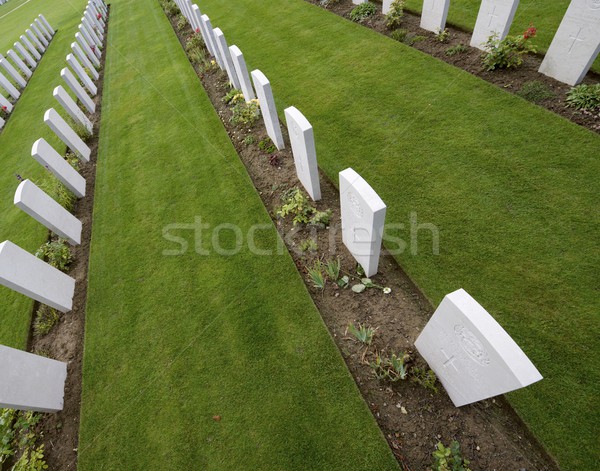 Cemetery Stock photo © pedrosala