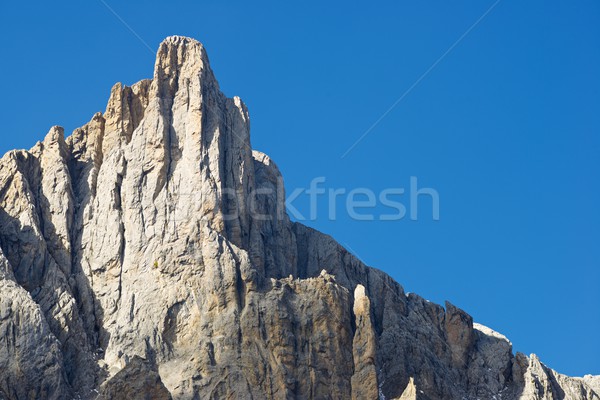 Pyrenees Stock photo © pedrosala