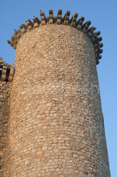 Tower of Torija Castle Stock photo © pedrosala