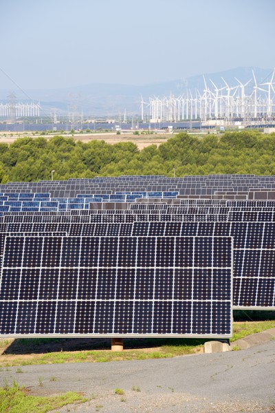 Hernieuwbare energie fotovoltaïsche energie productie natuur technologie Stockfoto © pedrosala