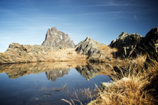 Pyrenees Stock photo © pedrosala