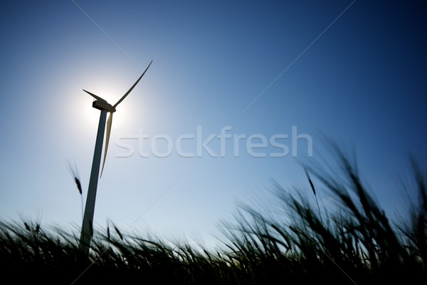 Wind energy concept Stock photo © pedrosala