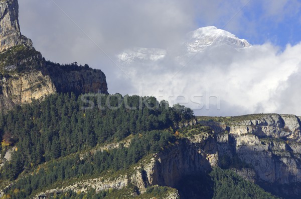 snowy mountains Stock photo © pedrosala