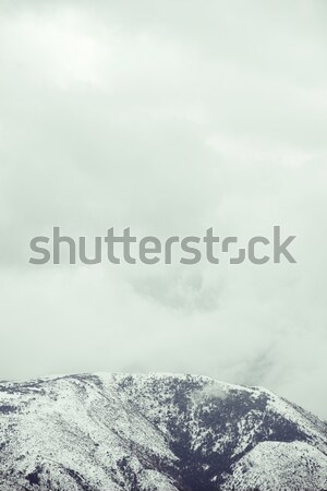 Aneto Peak Stock photo © pedrosala