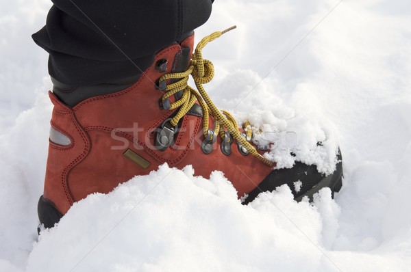 red leather boot Stock photo © pedrosala