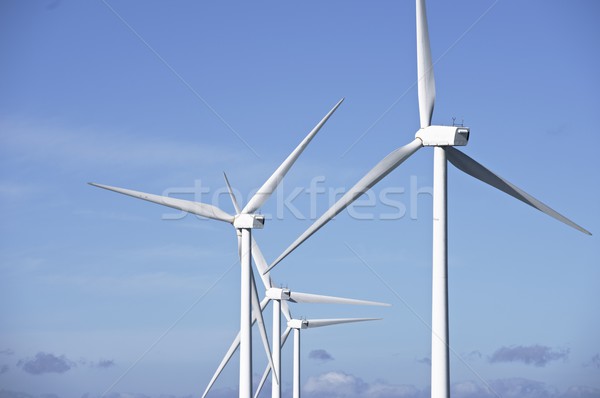Wind energy Stock photo © pedrosala