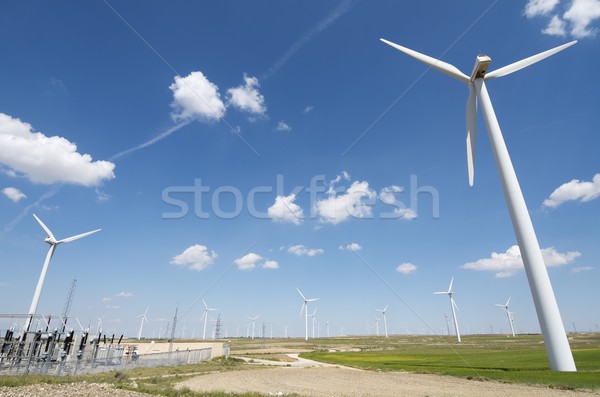 Foto d'archivio: Vento · energia · elettrici · potere · produzione · elettriche