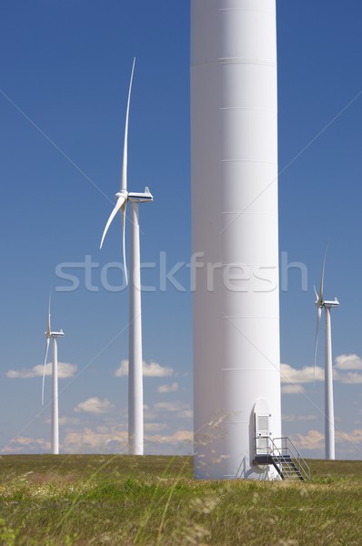 Foto stock: Vento · energia · elétrico · poder · produção · grama