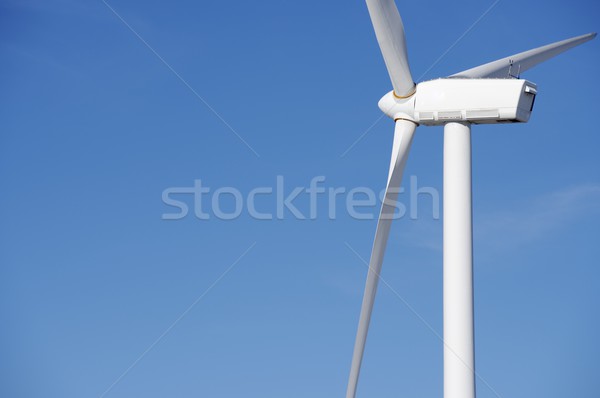 Wind energy Stock photo © pedrosala