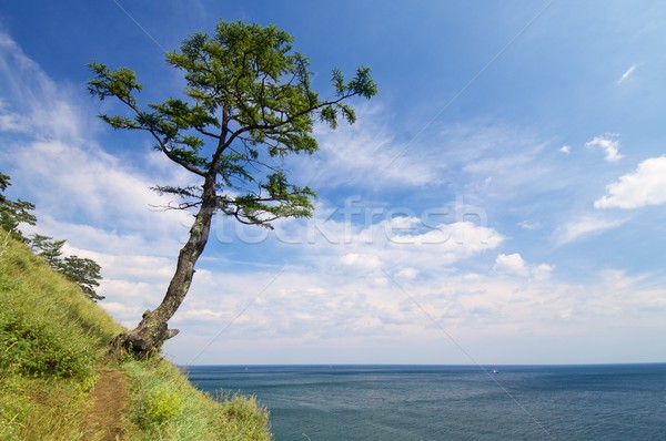 Lago costa cidade sibéria Rússia céu Foto stock © pedrosala