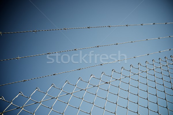 Barbed wire fence Stock photo © pedrosala